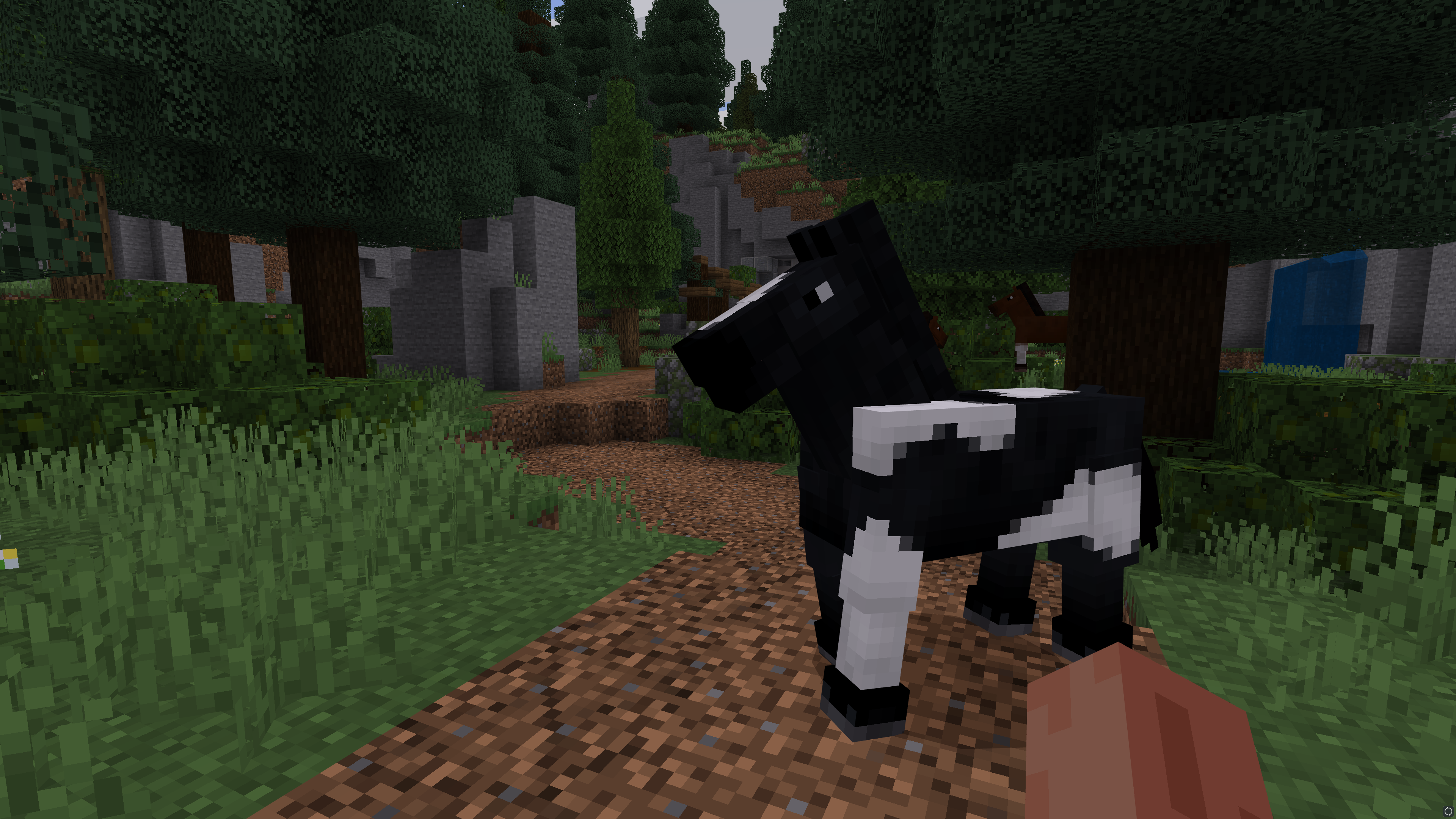 Horse