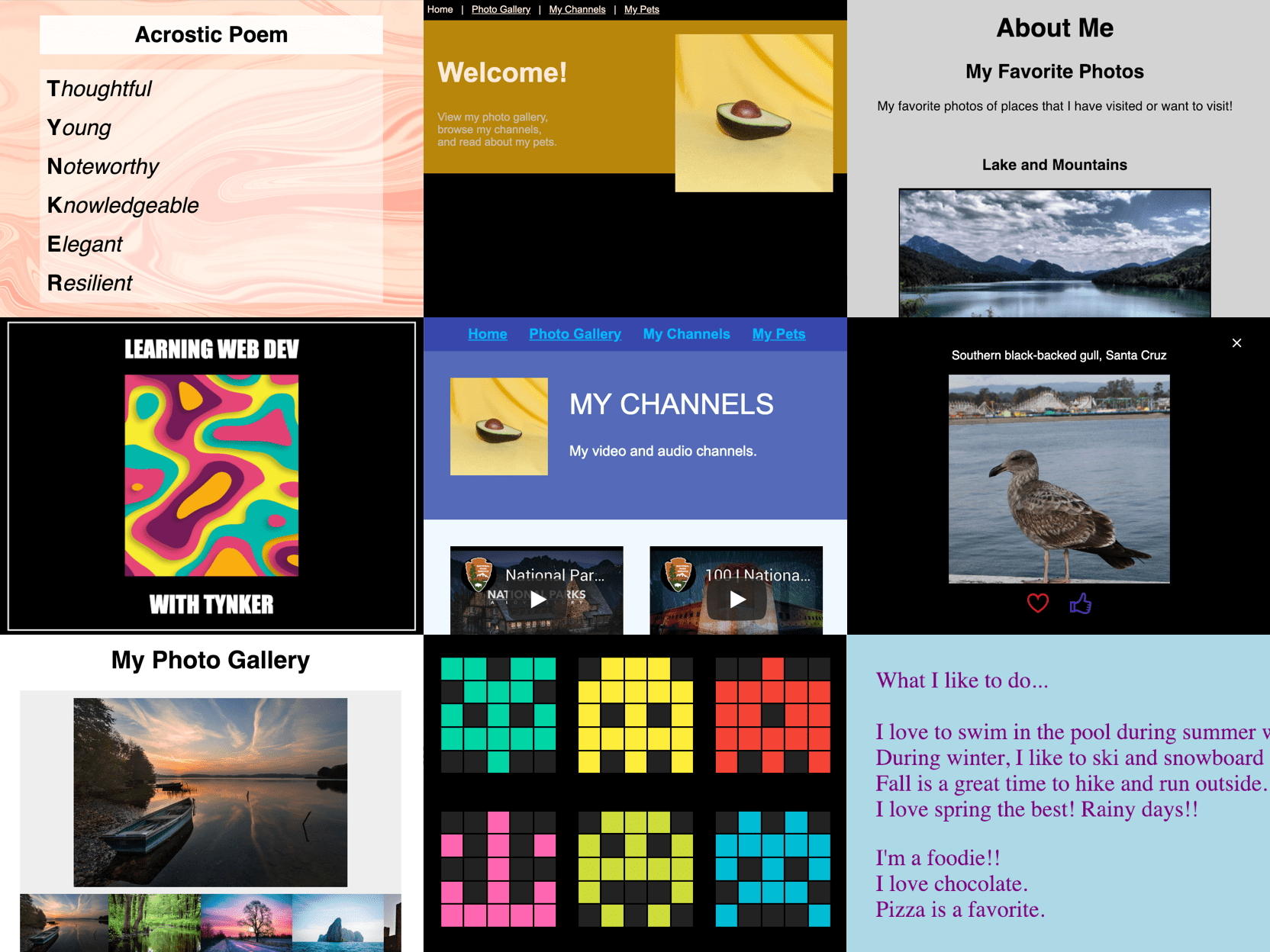 Intro to Web Development Course