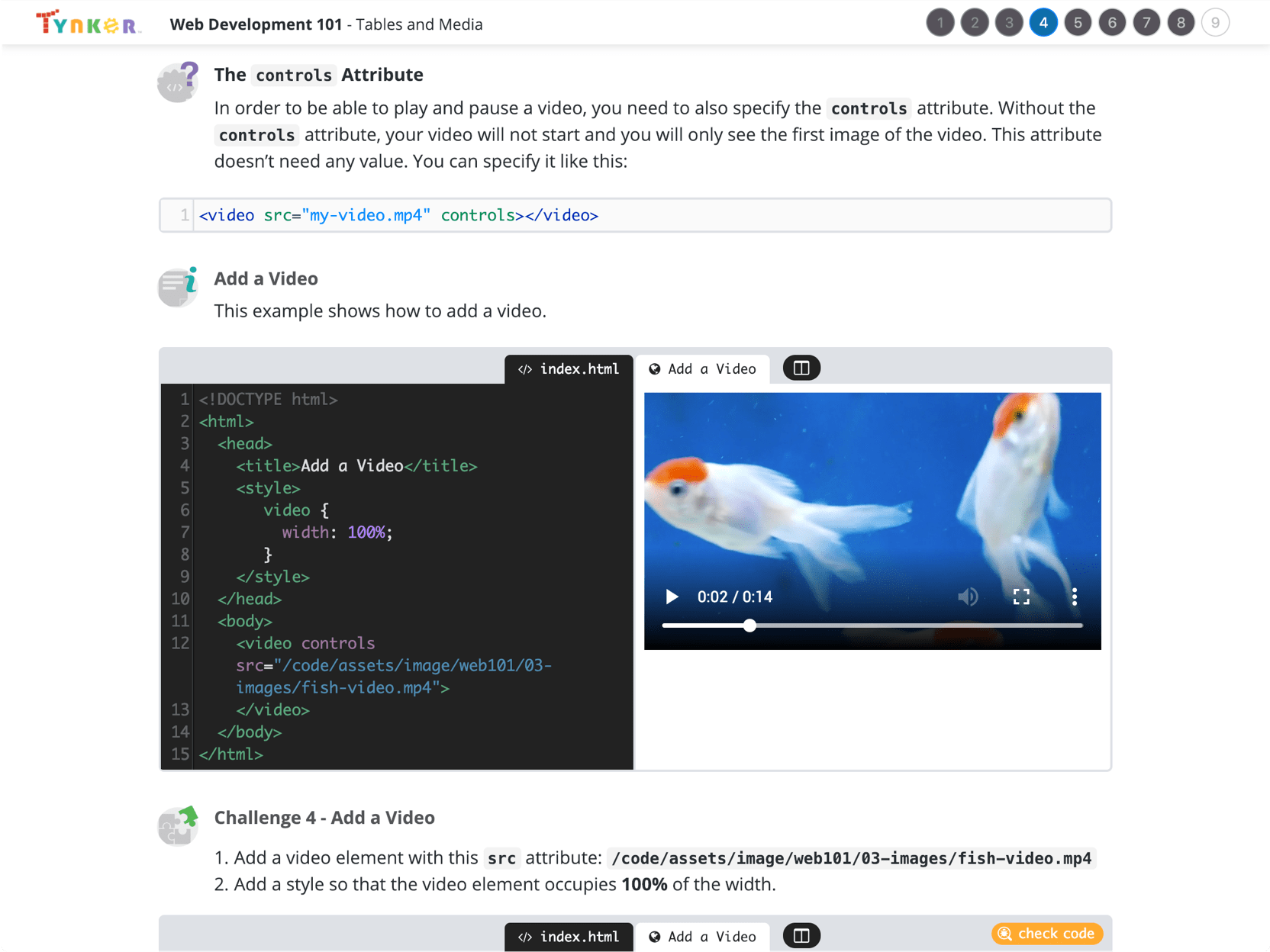 Intro to Web Development Course